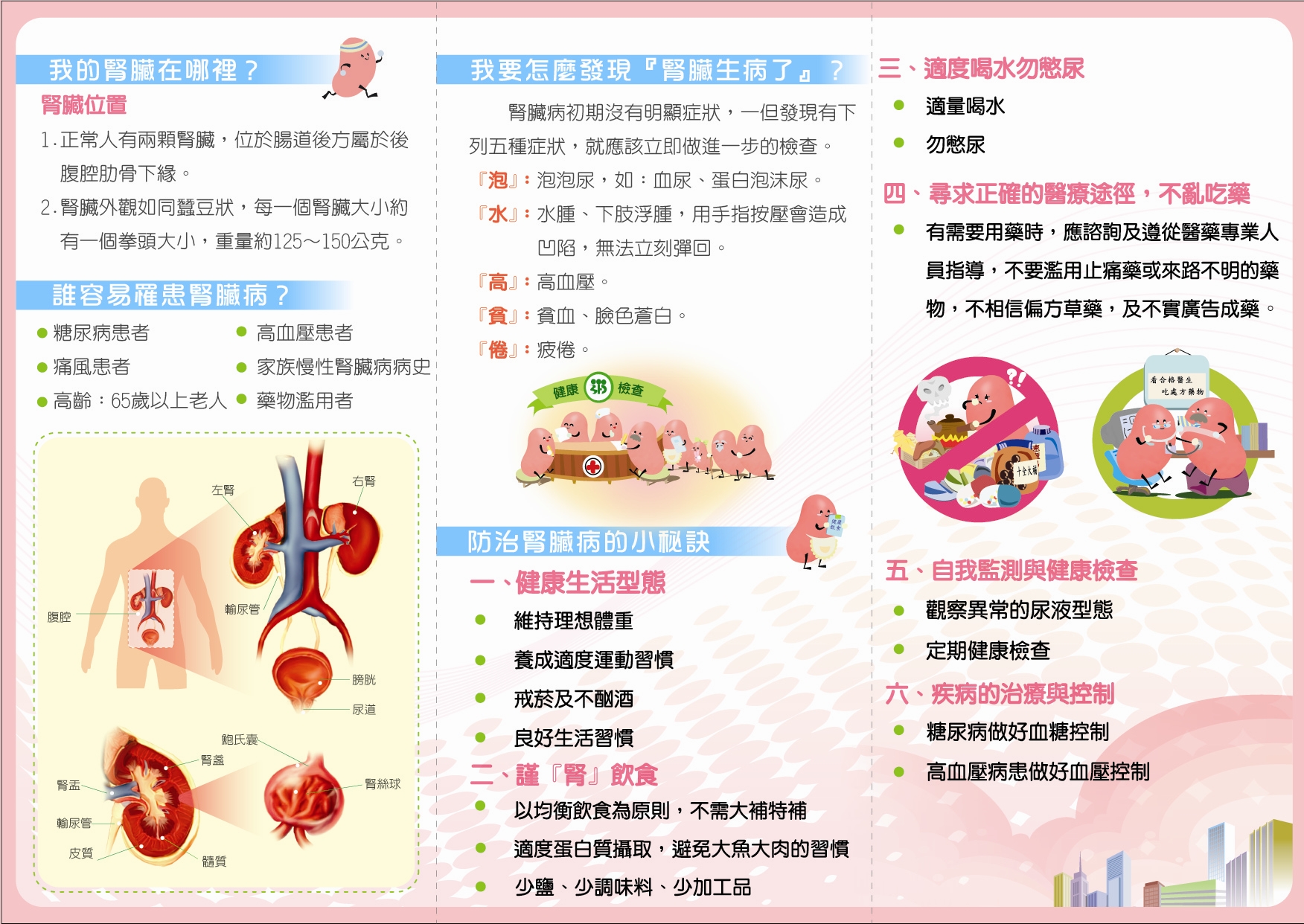 如何愛護自己的腎臟圖片